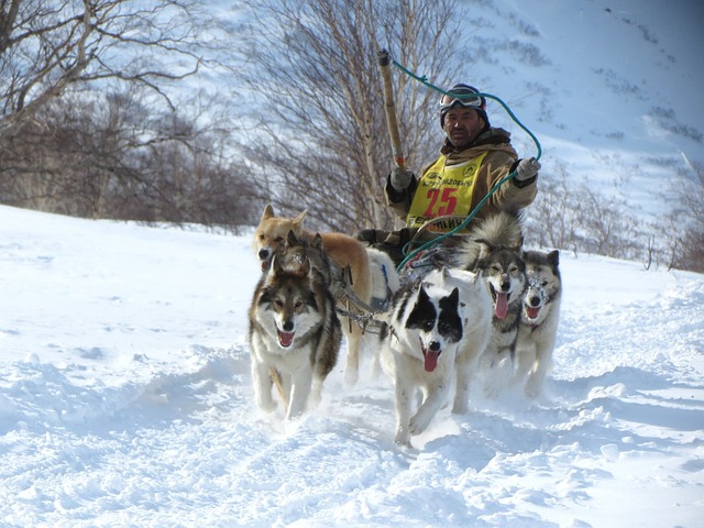 内蒙古自治区赤峰市冬季旅游季在美林谷滑雪场启动